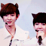 [EXO] 아씨발큰일낫다 이것봐