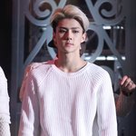 [EXO] 봄소년<b>사진</b><b>개</b>이쁘다