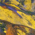 <b>물감</b>을 흩뿌려 놓은듯한 캘리포니아 카리조 평원