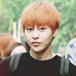 [EXO] 우리 발모제 조공하자