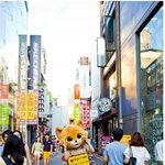[엽기n<b>훈훈</b>] <b>훈훈</b>한 고양이카페 알바녀