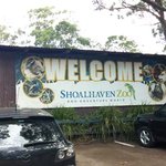 시드니 동물원에서 보고온 귀요미들