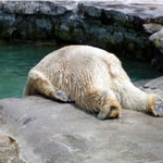 [폭염주의보] 이야기 속으로 47 - 대만 신하<b>이터널</b> 괴담