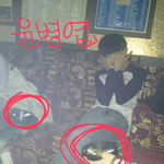 김새론술담배사건 쉴드치던애들 다나와라ㅋㅋㅋㅋㅋ