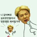 [EXO] <b>야이</b> 충충이년들아