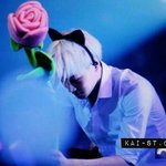 [EXO] 오타쿠같이 나온 카이