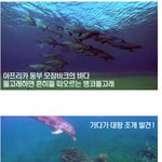 [소오름] <b>물</b> <b>속</b>에서 찍은 몰래카메라
