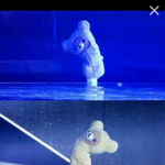 [세훈] 리락쿠마인형으로 인사하는 씹귀<b>세후</b>니