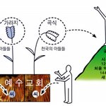 <b>예수</b>님의 약속!! 신천지 추수꾼