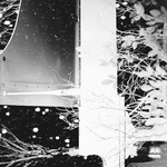 [EXO] 엉덩이쪽 모기<b>물림</b> 