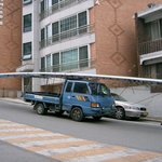 [공포베스트] 도로<b>위</b>의 공포