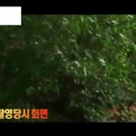 [워벤더] 워벤더의 무서운 이야기