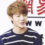 [EXO] 비주얼 정리한다.