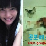 [공포베스트] 中 여성, 고양이 참수 후 온라인 게재