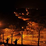 전방 gop 에서 겪은 실화