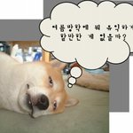 [20대] 대학생 ㅋㅋ호주 여행 공짜로 가는법!!!!