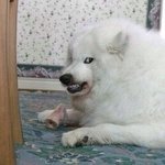 [EXO] <b>오전</b>부터 개짜증