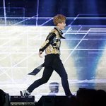[EXO] 애들 활동말이야..