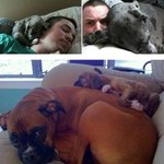 [<b>미미</b>쨩최고] 같이 나이먹어가는 개와 주인