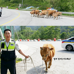 [콜로라도] <b>소생</b>크탈출.jpg