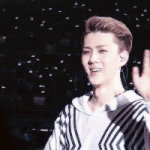 [EXO] 세훈이가 <b>팬섭</b>늘어난게 좀 적응되서 그런아님?