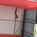 [EXO] 지네잡았엌ㅋㅋㅋㅋㅋ시발ㅋㅌㅋㅋㅋㅋㅋ