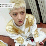 [EXO] 내가 좋아하는 황<b>타오</b>움짤