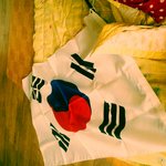 [EXO] 다 태극기 달았지