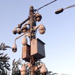 [<b>미미</b>쨩최고] 참새아님.jpg