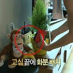 [비스트] 괜히 개념돌이라고 하는게 아니야