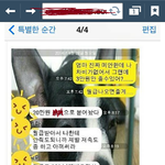 [콜로라도] <b>효자</b>가 되고 싶었지만.....