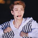 [세훈] 콘서트 <b>구사</b>즈 사진 갖고 계신 분