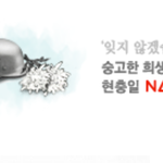 네이트 <b>현충일</b> 로고 '독일 나치군 철모' 논란?