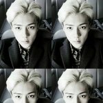 [EXO] 우리 꼴등이더라...