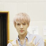 [EXO] 세훈이 세일러문포즈 저거 <b>무슨</b> <b>뜻</b>있다던데
