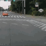 [피씨<b>레몬</b>] 삶과 죽음의 경계