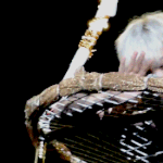 [EXO] 니네베<b>도중</b>에죽어도숨은쉰다봄?