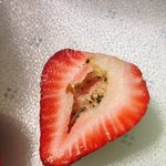 [<b>공포</b>베스트] [혐] 여러분이 딸기를 먹었는데..