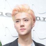 [EXO] 오세훈 코 <b>분필</b> 넣었음