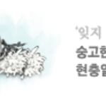 네이트 <b>현충일</b>에 정신나간건가요?