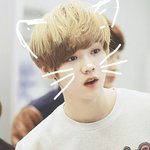 [EXO] 드콘가는애들아~
