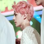 [EXO] 애들아들어와서이것좀봐줘