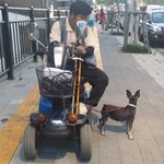 [가을이] (성남)할아버지 혼자 힘겹게 키우는 가을이