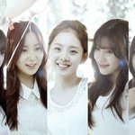 요즘 보기드문 상큼한 신인 '베리굿'