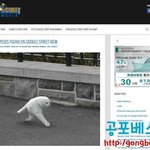 [공포베스트] 구글 <b>스트릿</b>뷰에 찍인 괴생물체