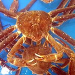 [EXO] 찬열이 <b>커플</b>라인으로 엮으면