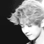 [EXO] 루한얼굴로살기 <b>vs</b> 레이성격으로살기