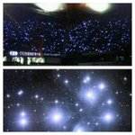 [EXO] 야 우리도 응원봉쫌튀는색ㅜㅜㅜ