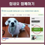 희귀병에 걸린 예삐에게 <b>희망</b>을 나눠주세요