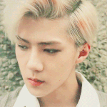 [EXO] 니가 <b>판</b><b>녀</b> 건들였냐?
